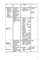 Referāts 'Risku vadīšanas procesa novērtējums uzņēmumā AS "Biolat"', 23.