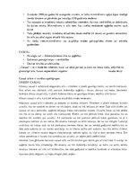 Prezentācija 'Stilistika - pamatstili', 45.