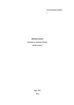 Biznesa plāns 'Biznesa plāns SIA "Ballīšu meistari"', 1.