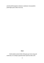 Biznesa plāns 'Biznesa plāns SIA "Ballīšu meistari"', 9.