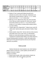 Biznesa plāns 'Biznesa plāns SIA "Ballīšu meistari"', 13.