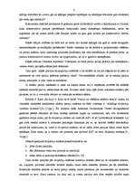 Referāts 'Partijas "Jaunais Laiks” politiskās komunikācijas kampaņas analīze', 13.