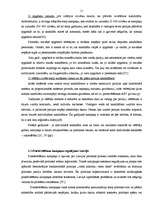 Referāts 'Partijas "Jaunais Laiks” politiskās komunikācijas kampaņas analīze', 18.