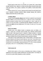 Referāts 'Partijas "Jaunais Laiks” politiskās komunikācijas kampaņas analīze', 37.