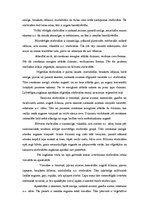 Referāts 'Kazu audzēšanas rentabilitāte', 7.