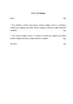 Konspekts 'Īrijas Nodokļu un Muitas administrāciju stratēģiju novērtējums', 3.