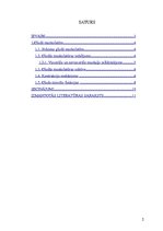 Referāts 'Gludās muskulatūras fizioloģiskais raksturojums', 2.