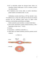 Referāts 'Gludās muskulatūras fizioloģiskais raksturojums', 7.