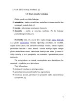 Referāts 'Gludās muskulatūras fizioloģiskais raksturojums', 8.