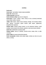 Diplomdarbs 'Interjera projekts', 1.