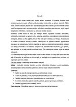 Diplomdarbs 'Interjera projekts', 5.