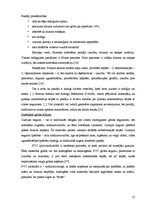 Diplomdarbs 'Interjera projekts', 13.