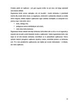 Diplomdarbs 'Interjera projekts', 34.