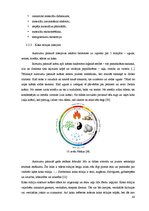 Diplomdarbs 'Interjera projekts', 43.