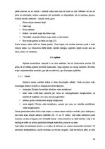 Diplomdarbs 'Interjera projekts', 44.