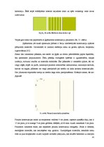 Diplomdarbs 'Interjera projekts', 45.