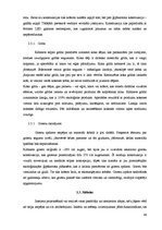 Diplomdarbs 'Interjera projekts', 46.