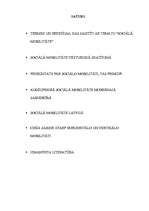 Referāts 'Sociālā mobilitāte', 1.