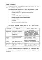 Biznesa plāns 'Biznesa plāns SIA "Pērle" skaistumkopšanas salonam', 19.