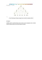 Paraugs 'Ieskaites darbs', 6.