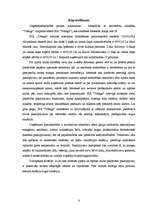 Biznesa plāns 'SIA "Tobago"', 4.