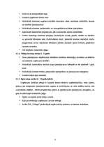 Biznesa plāns 'SIA "Tobago"', 8.