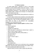 Biznesa plāns 'SIA "Tobago"', 9.