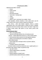 Biznesa plāns 'SIA "Tobago"', 10.