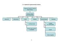 Biznesa plāns 'SIA "Tobago"', 12.