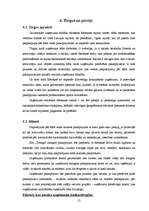 Biznesa plāns 'SIA "Tobago"', 15.