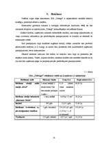 Biznesa plāns 'SIA "Tobago"', 19.