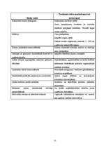 Biznesa plāns 'SIA "Tobago"', 31.