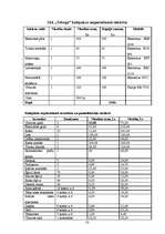 Biznesa plāns 'SIA "Tobago"', 33.