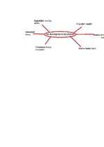 Konspekts 'Imunitāte', 3.