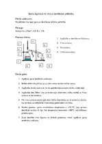Konspekts 'Spirta iegūšana no vīna ar destilācijas metodi', 1.