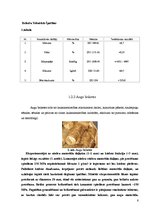 Referāts 'Kurināmās briketes', 6.