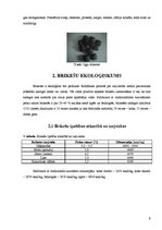 Referāts 'Kurināmās briketes', 9.