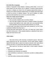 Referāts 'Ārzonu izveide un darbības analīze', 4.