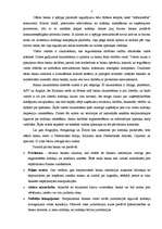 Referāts 'Ārzonu izveide un darbības analīze', 7.