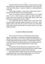 Referāts 'Ārzonu izveide un darbības analīze', 11.