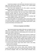 Referāts 'Ārzonu izveide un darbības analīze', 14.