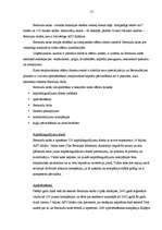 Referāts 'Ārzonu izveide un darbības analīze', 17.