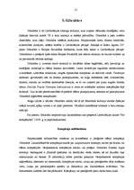 Referāts 'Ārzonu izveide un darbības analīze', 21.