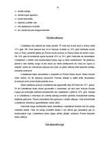 Referāts 'Ārzonu izveide un darbības analīze', 24.