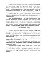 Referāts 'Ārzonu izveide un darbības analīze', 25.