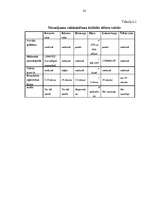 Referāts 'Ārzonu izveide un darbības analīze', 28.