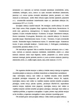 Referāts 'Aseptikas un antiseptikas pasākumu ievērošana pacientu transportēšanā', 14.