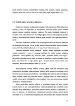 Referāts 'Aseptikas un antiseptikas pasākumu ievērošana pacientu transportēšanā', 17.