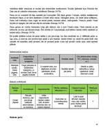 Referāts 'Tūrisma resursu un infrastruktūras izpēte Jēkabpils rajonā', 28.