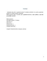 Referāts 'Paplašinātā realitāte', 3.